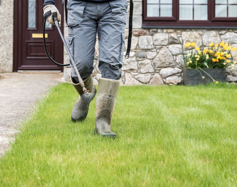 Small Yard Landscaping