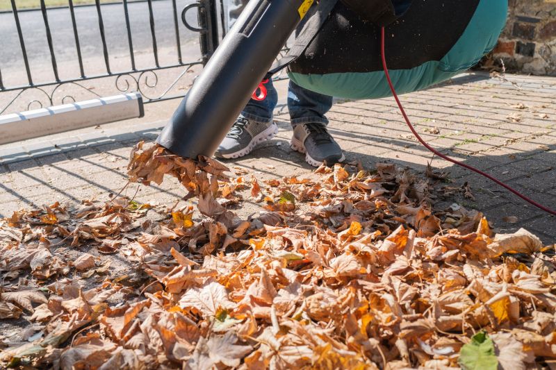 Professional Equipment for Fall Cleanup